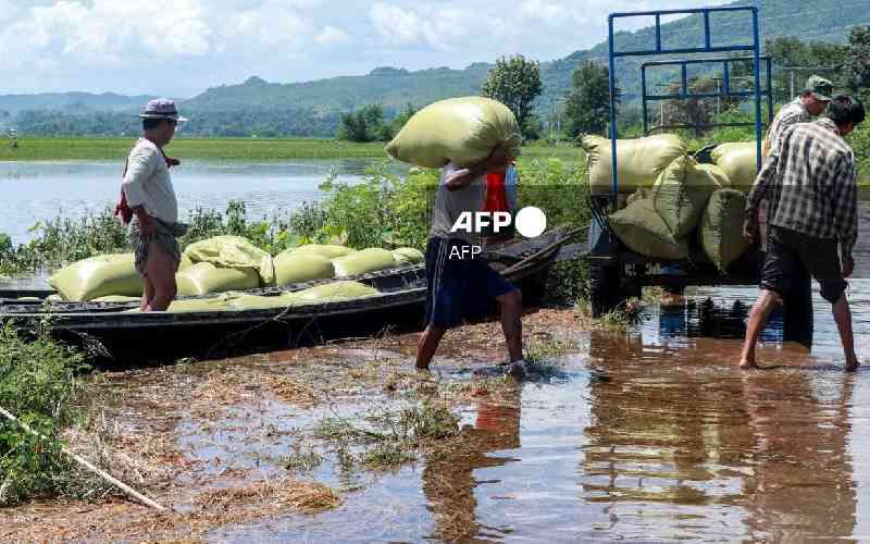 Myanmar villagers battle to sa...