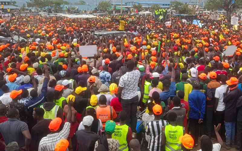 Hired hecklers, ODM-UDA supremacy battles rock Ruto's Nyanza tour