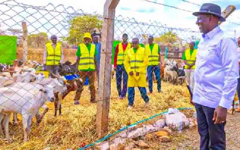 Cartels, politicians hijack Kimalel goat auction, lock out farmers