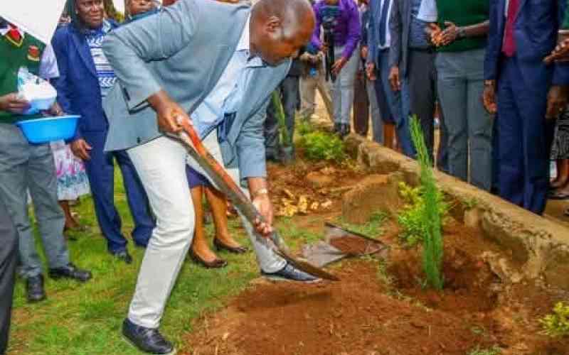 Teachers to lead in planting one million trees in Western Kenya