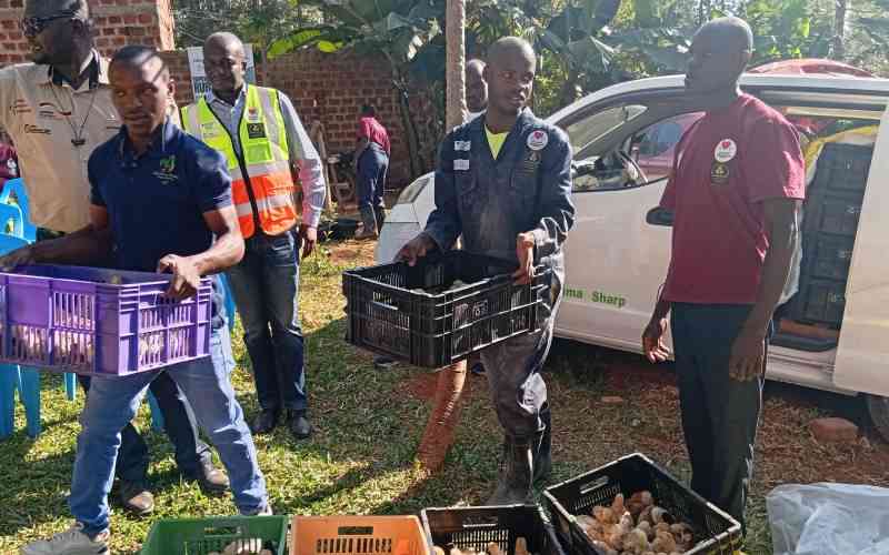 Homa Bay youth graduates spark green poultry revolution