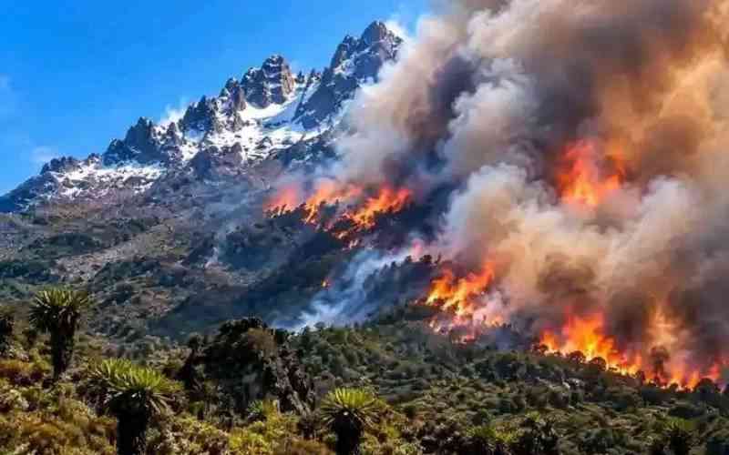 Mount Kenya wildfire: What 8,700 burnt hectares reveal about the crisis