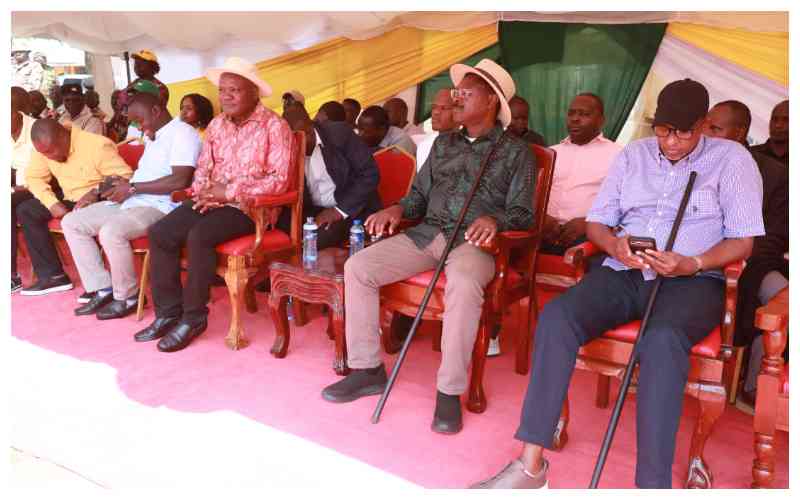 Ruto allies claim Uhuru backs Western leaders to split Luhya vote