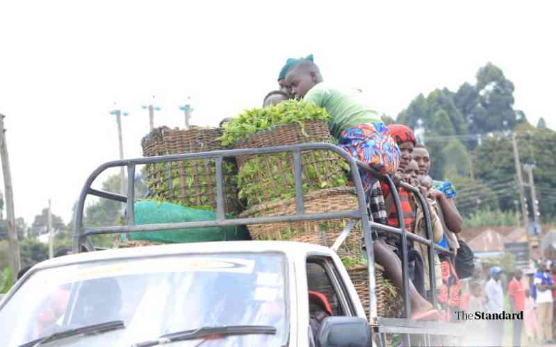 Nyamira farmers slapped with Sh210m tax burden