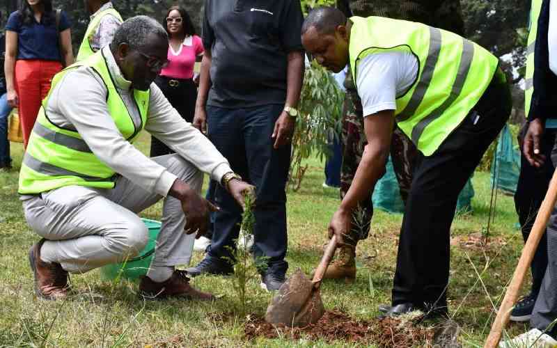 NSSF, Labour Ministry in campaign to plant two million trees