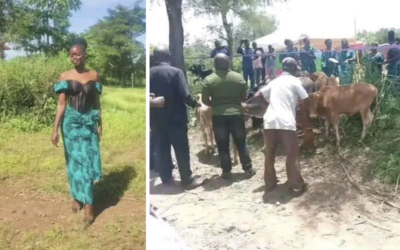 Albert Ojwang's family formalises union with widow in traditional nyombo rite