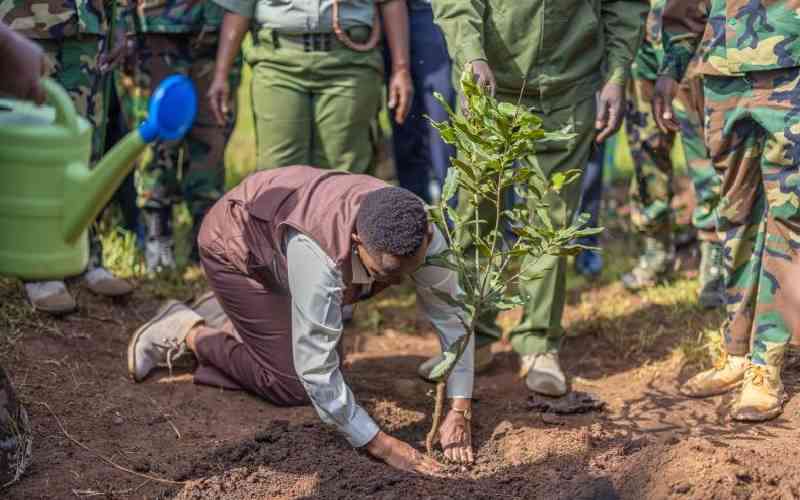 Environmental activists oppose Rachel Ruto's bid to adopt Kakamega forest