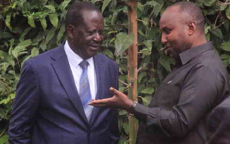 Battle drawn as ODM MPs eye post of minority leader