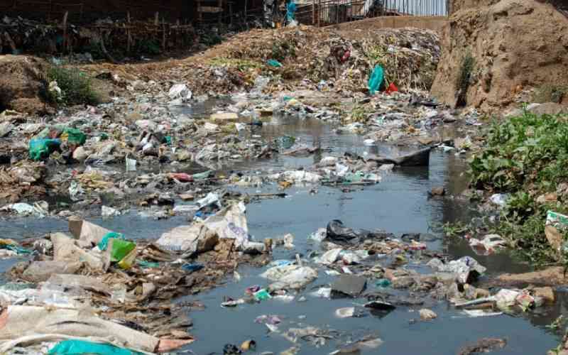 Kenya's Sh515 million open defecation crisis