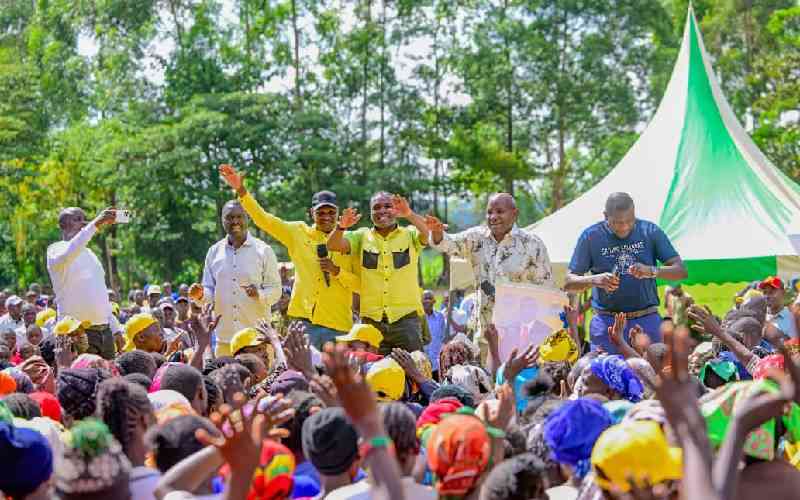 Panyako's tears leave leaders from Malava to beg Ruto to give him a job