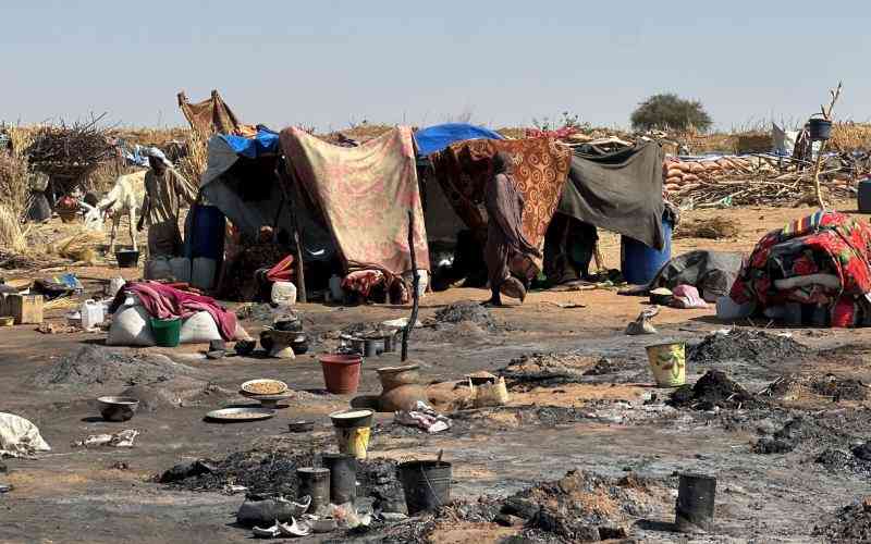 UN Sudan probe finds 'hallmarks of genocide' in El-Fasher