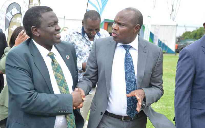 State needs Sh1.2b to compensate victims of human-wildlife conflict