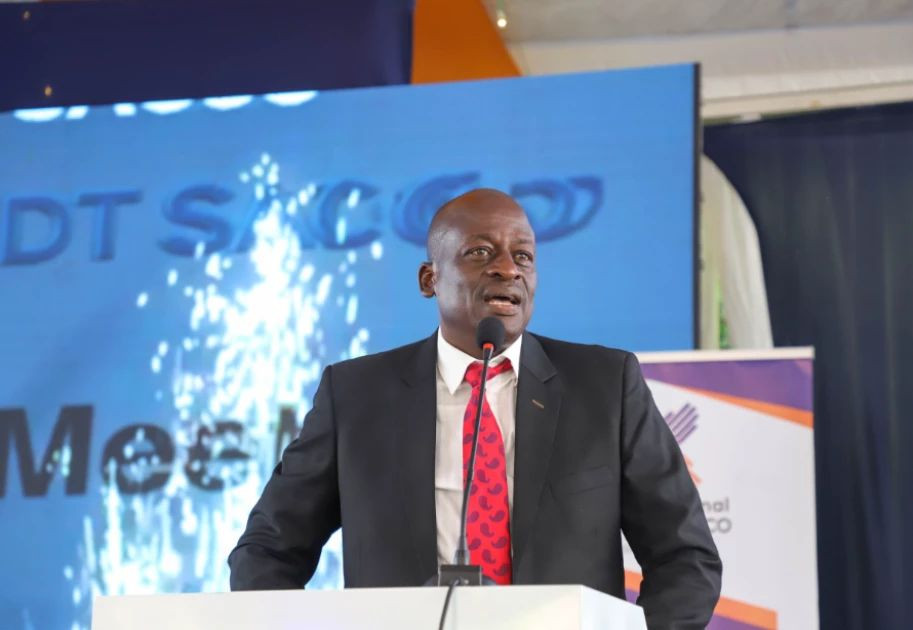 Graduates turn mentors as alumni tackle Kenya's job readiness gap