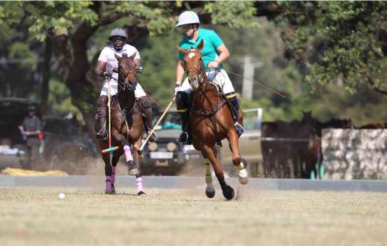 All set for the Kinsman and Marania Cups