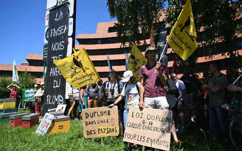 French health experts speak out against bee-killing pesticide