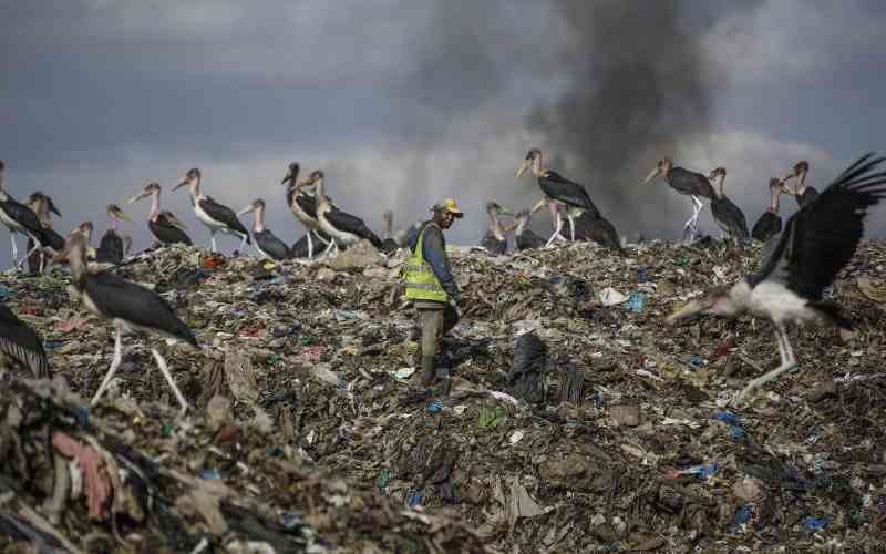 Global experts convene in Nairobi for Clean-Air Forum 2025