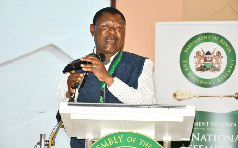 Wetang'ula: Kenya's commitment to AU agenda remains intact