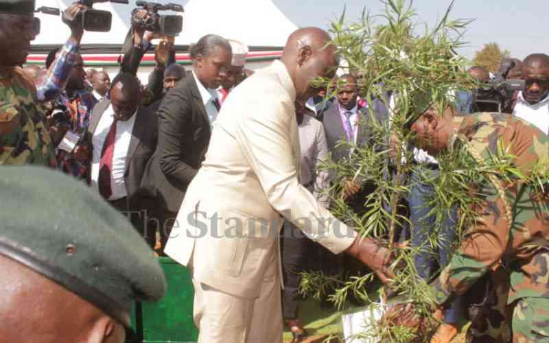 Ruto to lead tree planting in Ukambani