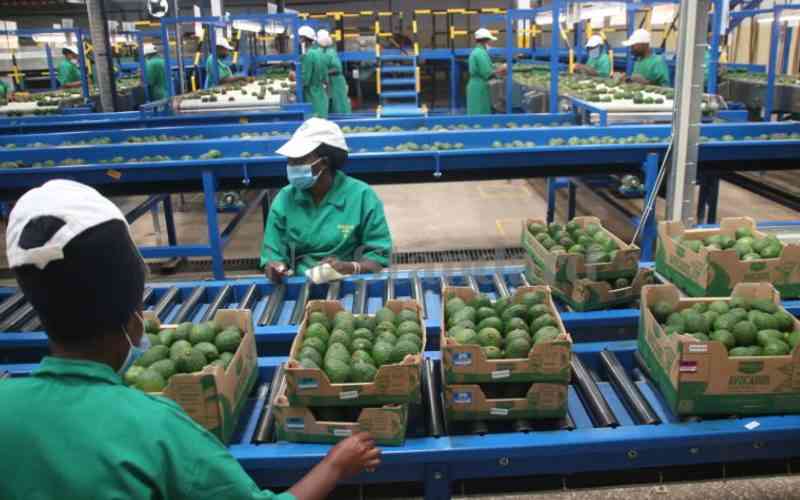 Kakuzi posts 341m profits on export sales