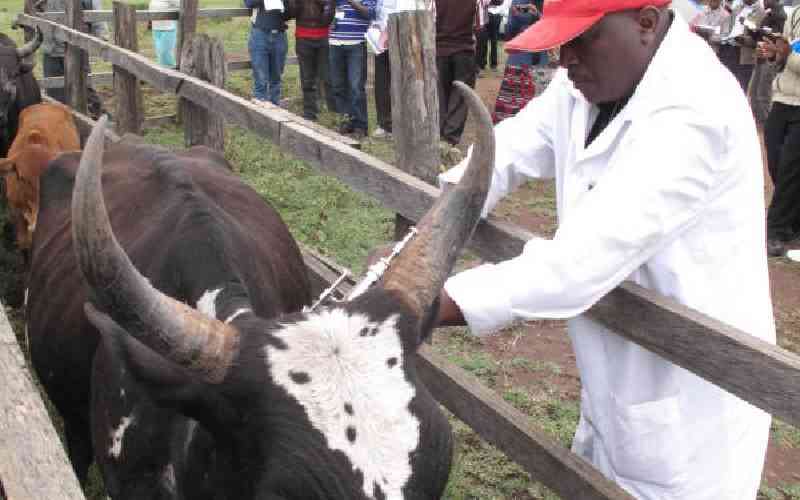 Kenya approves trials for genetically modified vaccines to combat livestock diseases