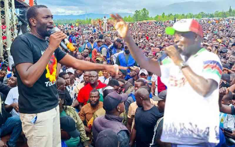 Mwangaza, Munya to host Linda Mwananchi and Alternative Government leaders