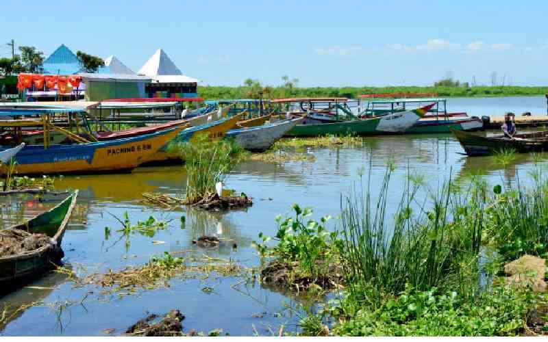 Lake Victoria's wetlands, beaches in trouble from raw sewage and dumping