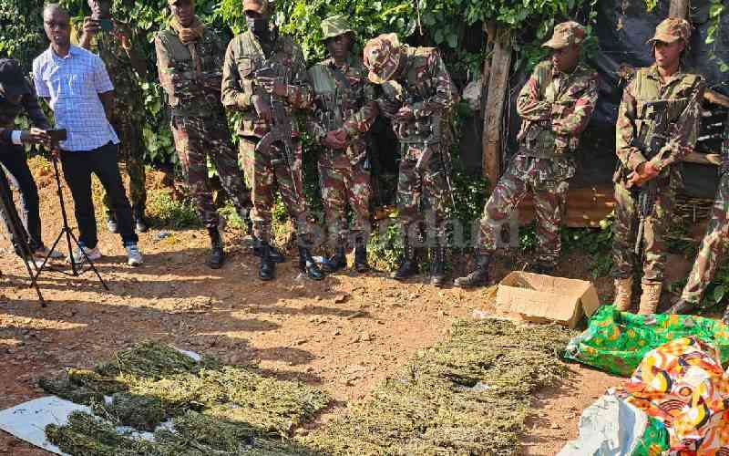 Nacada arrests five over drug trafficking, nabs bhang worth Sh2m