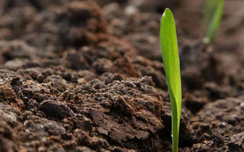 Why soil testing and mapping should be every farmer's first step
