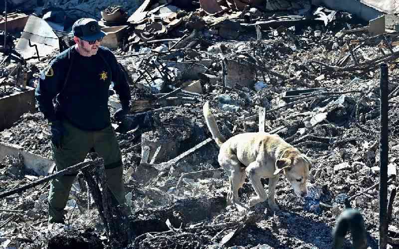 Australian mum says son killed in LA fires as water ran out