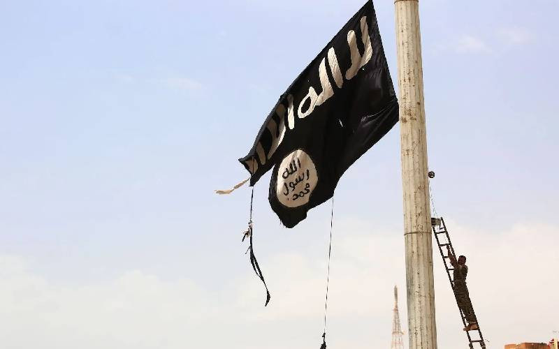 Trump, Nigeria claim killing of senior IS leader