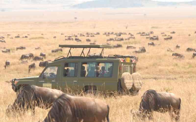 Stakeholders say exorbitant park entry fees to drive away tourists