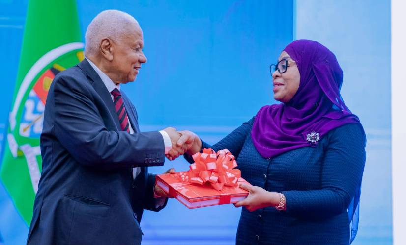 Tanzania probe links poll violence to organised networks, deep grievances