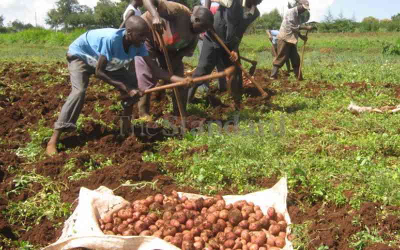 Kenya's agricultural sector is underfunded, experts say