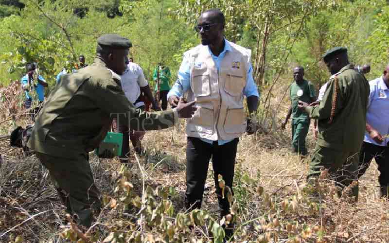 Initiative kicks off to ensure dilapidated Lambwe forest restores lost glory