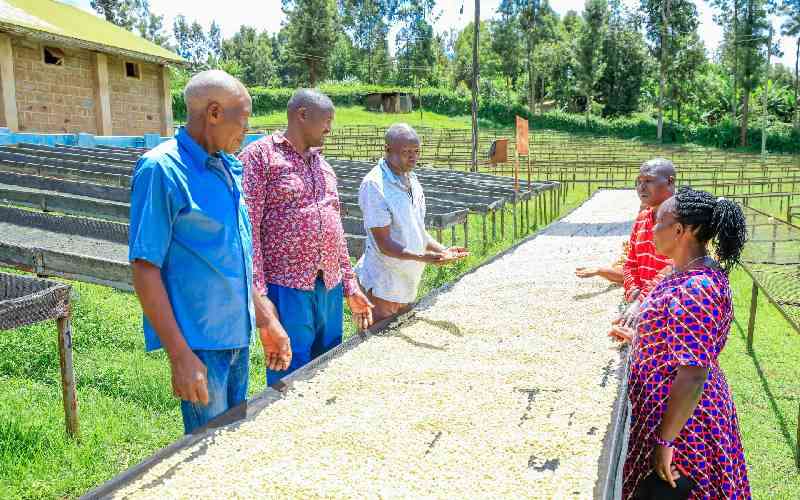 Governor Waiguru lauds reforms as coffee payout hits Sh7.4 billion