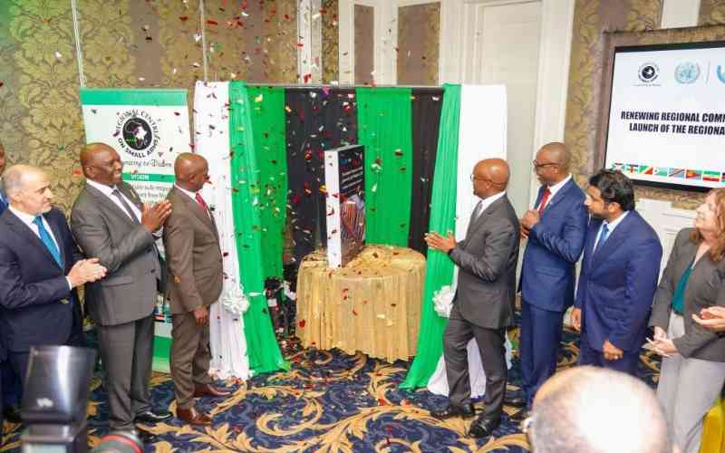 Illicit arms driving insecurity, new report shows