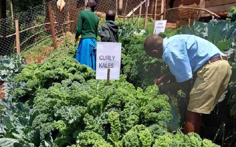 Teacher's initiative transforms local agriculture and nutrition