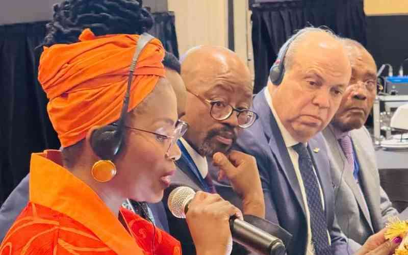 Africa wins key seats at UN aviation body, boosts push for single air market
