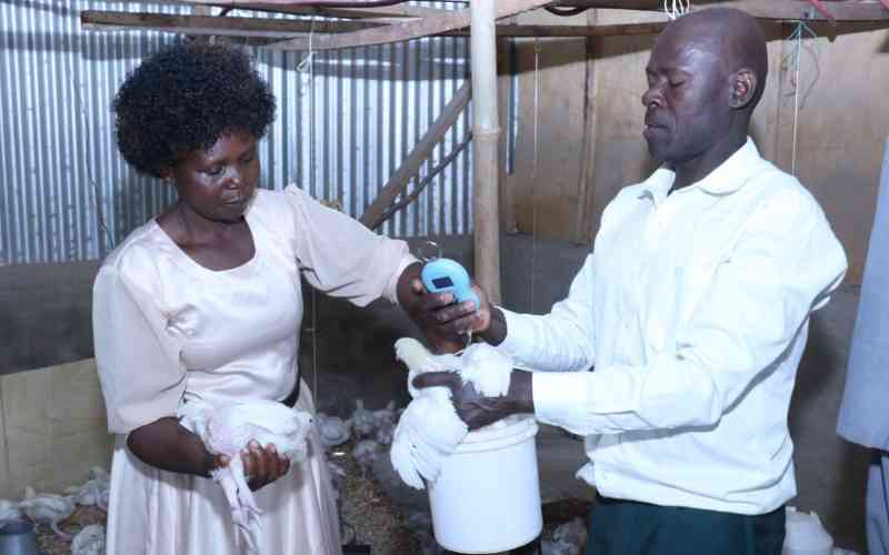 From pot to profit: How Western Kenya is turning dinner staple into cash