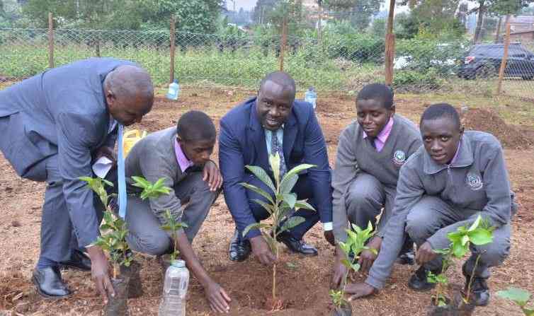 Free fruit trees to benefit 12,000 schools in Kiambu