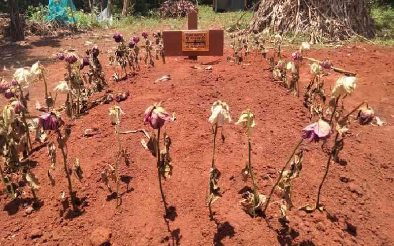 Pork, dance on mother's grave, leaves Kakamega man dead