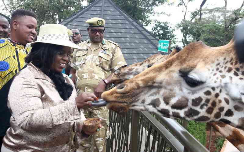 Explained: How to pay for KWS services in advance