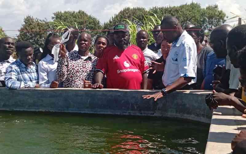 Conflict emerges in Lake Victoria over cage fish farming