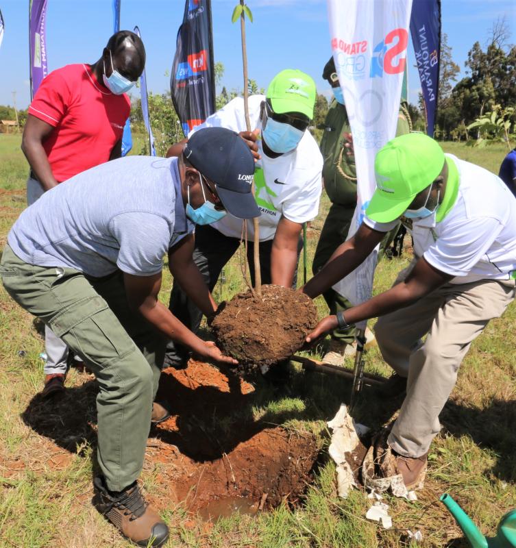 Sponsors to plant trees at Eldoret Arboretum