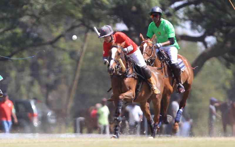 Polo: An ancient game with a modern touch