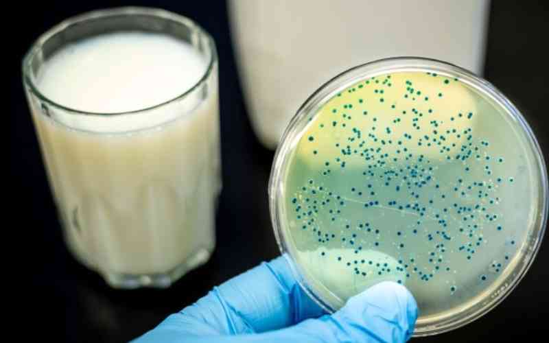 Brucellosis: Disease you get from infected milk