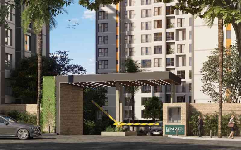 IFC disburses Sh2.6b to Centum Re's 2,000 affordable houses