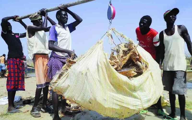 Lake Turkana fish could be extinct, IUCN study shows