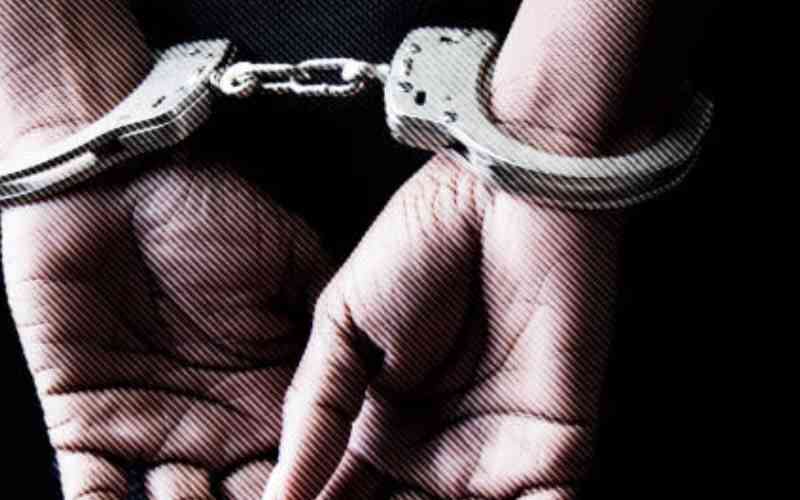 Police arrest 15 fraud suspects in Hola