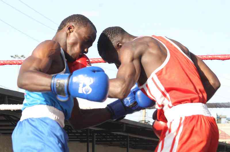 All are set for National Novices bouts